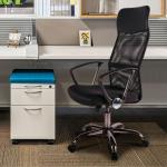 Zara - Ergonomic High-Back Office Chair - Black