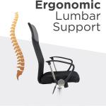 Zara - Ergonomic High-Back Office Chair - Black